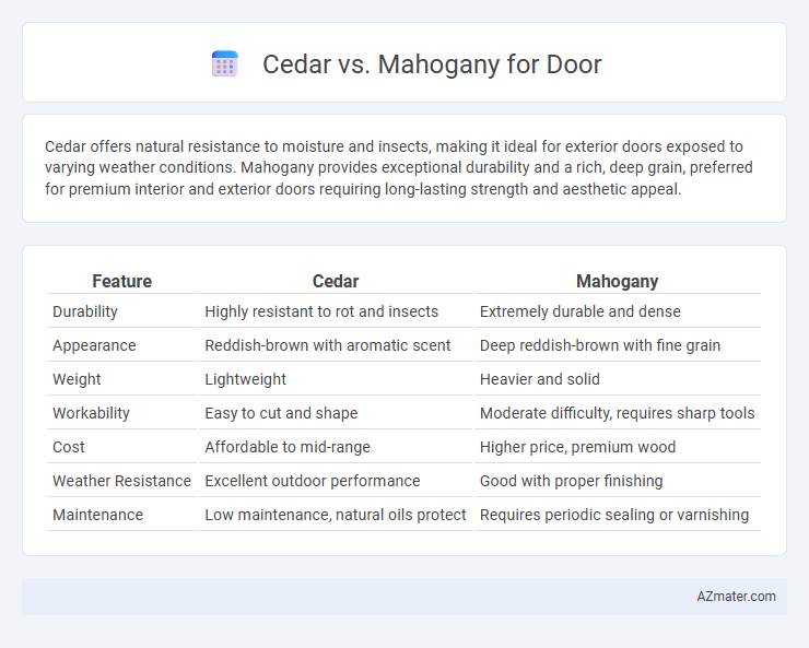 Cedar vs. Mahogany for Door - What is The Difference?