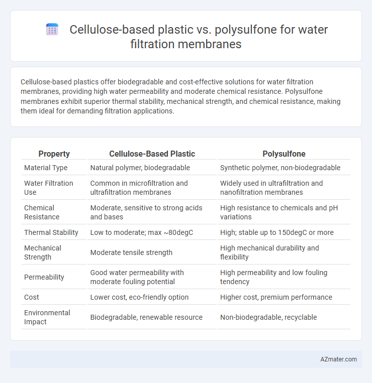 Cellulose-based plastic vs. polysulfone for water filtration membranes - What is The Difference?