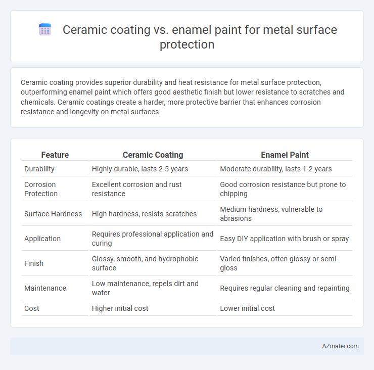 Ceramic coating vs. enamel paint for metal surface protection - What is The Difference?