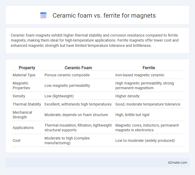 Ceramic foam vs. ferrite for magnets - What is The Difference?