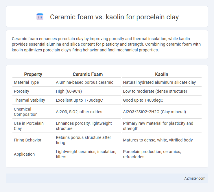 Ceramic foam vs. kaolin for porcelain clay - What is The Difference?