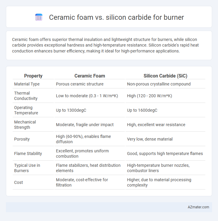 Ceramic foam vs. silicon carbide for burner - What is The Difference?