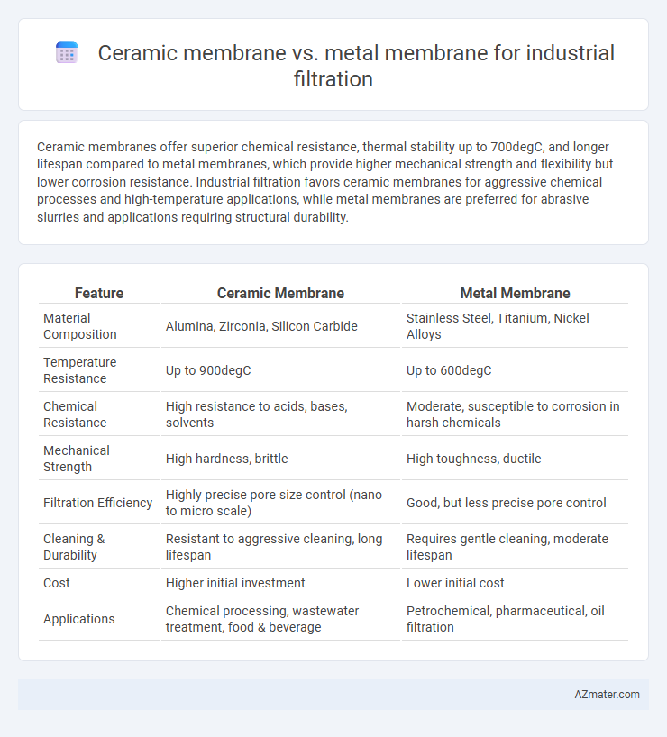Ceramic membrane vs. metal membrane for industrial filtration - What is The Difference?
