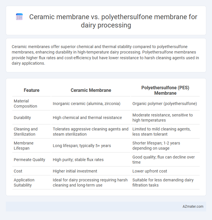 Ceramic membrane vs. polyethersulfone membrane for dairy processing - What is The Difference?