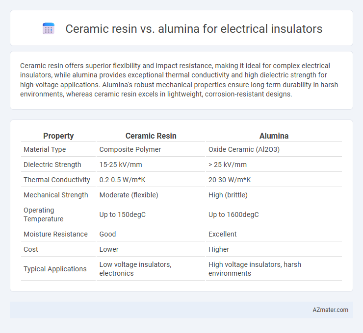 Ceramic resin vs. alumina for electrical insulators - What is The Difference?
