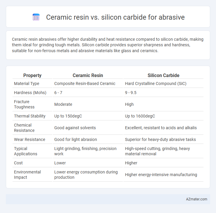 Ceramic resin vs. silicon carbide for abrasive - What is The Difference?