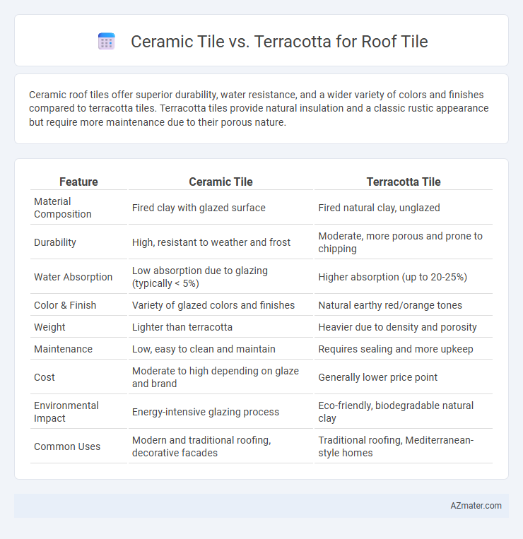 Ceramic Tile vs. Terracotta for Roof Tile - What is The Difference?