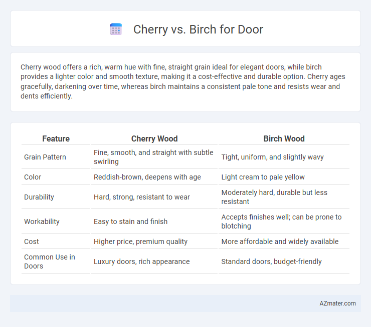 Cherry vs. Birch for Door - What is The Difference?
