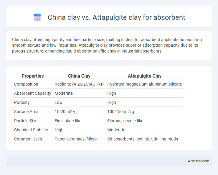 China clay vs. Attapulgite clay for absorbent - What is The Difference?