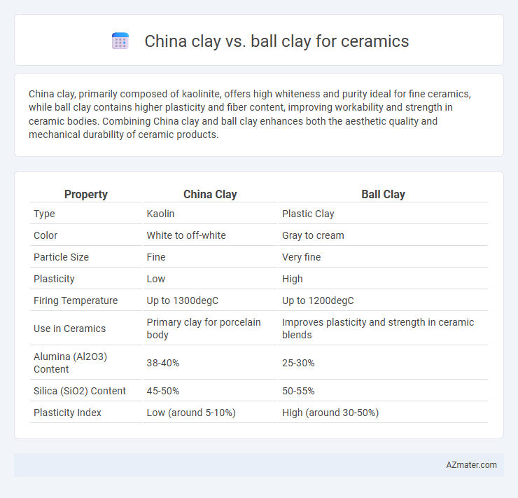 China clay vs. ball clay for ceramics - What is The Difference?