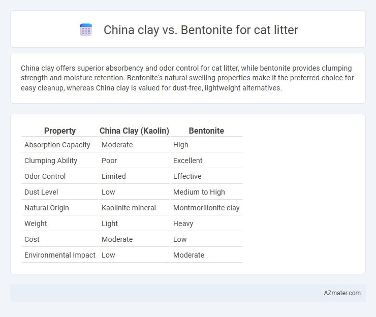 China clay vs. Bentonite for cat litter - What is The Difference?