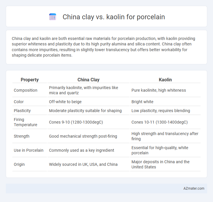 China clay vs. kaolin for porcelain - What is The Difference?
