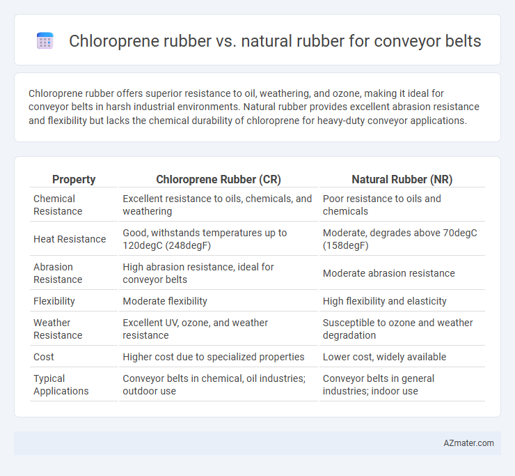 Chloroprene rubber vs. natural rubber for conveyor belts - What is The Difference?