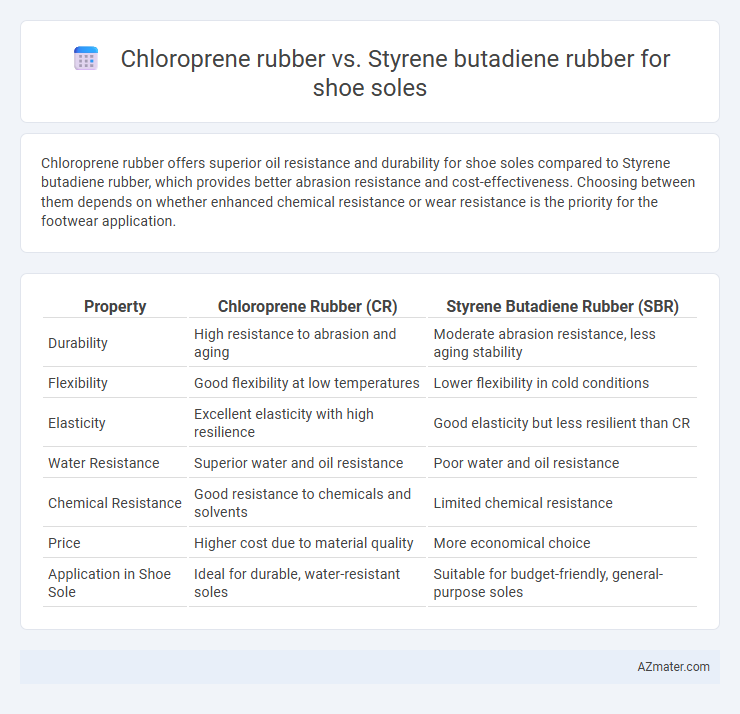 Chloroprene rubber vs. Styrene butadiene rubber for shoe soles - What is The Difference?