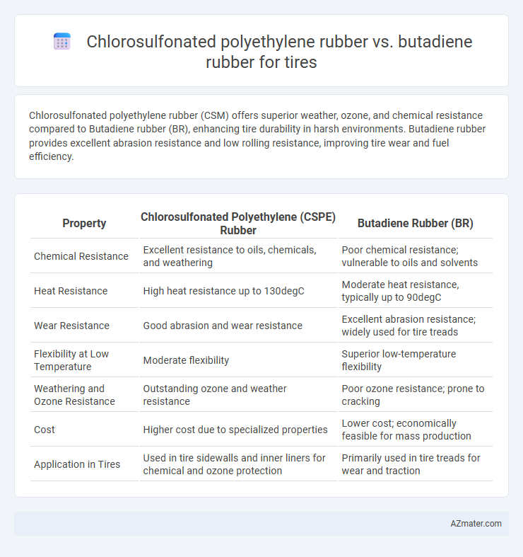 Chlorosulfonated polyethylene rubber vs. butadiene rubber for tires - What is The Difference?