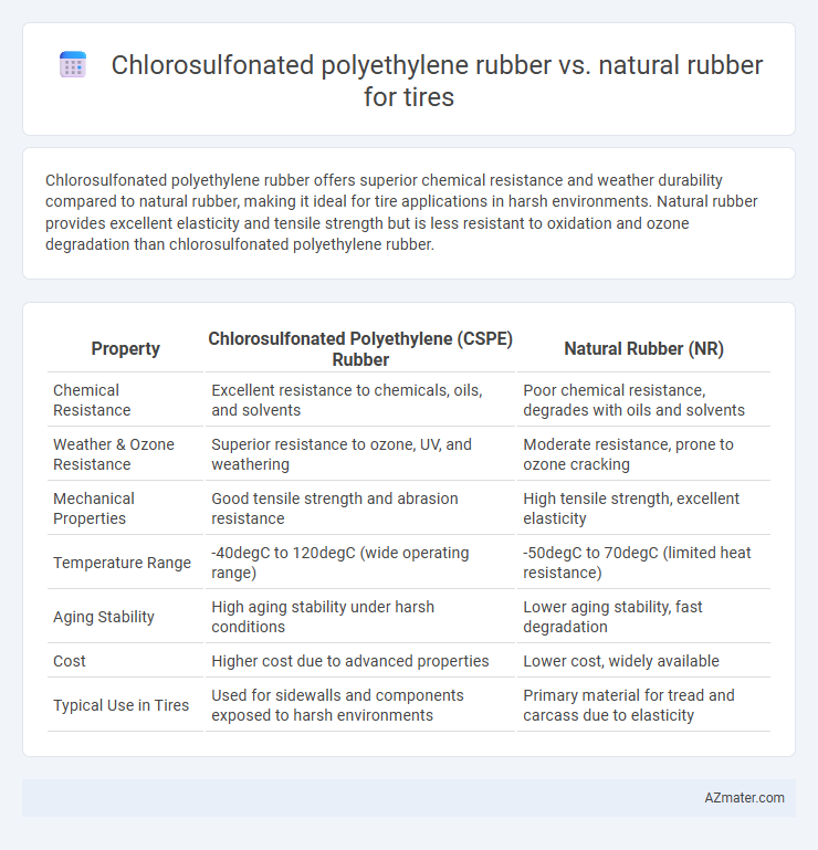 Chlorosulfonated polyethylene rubber vs. natural rubber for tires - What is The Difference?