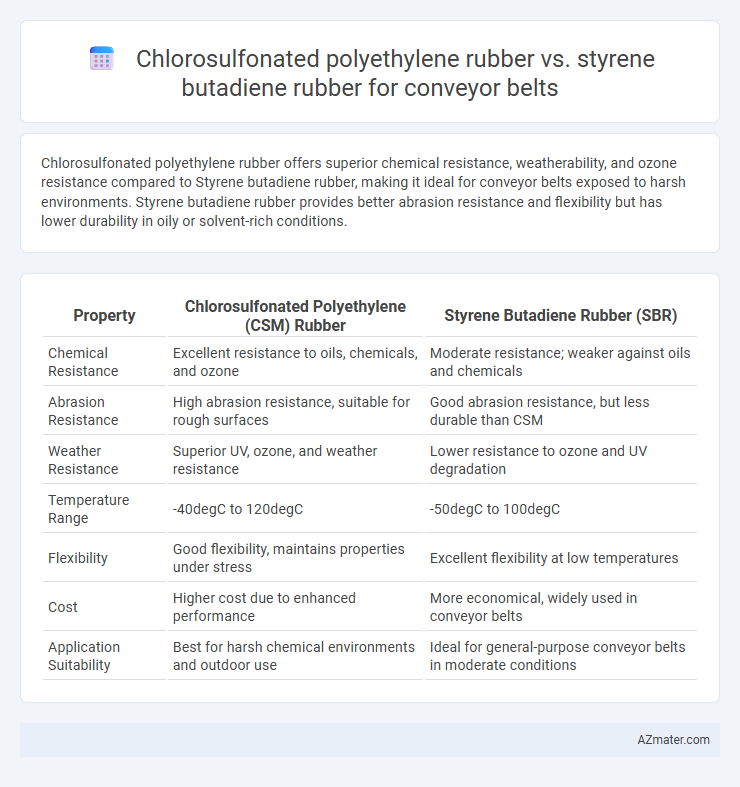 Chlorosulfonated polyethylene rubber vs. styrene butadiene rubber for conveyor belts - What is The Difference?