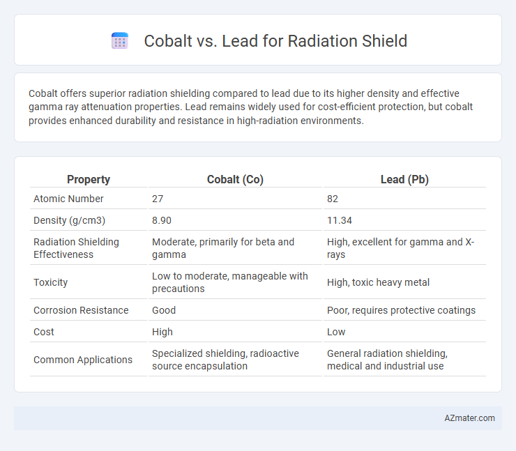 Cobalt vs. Lead for Radiation Shield - What is The Difference?