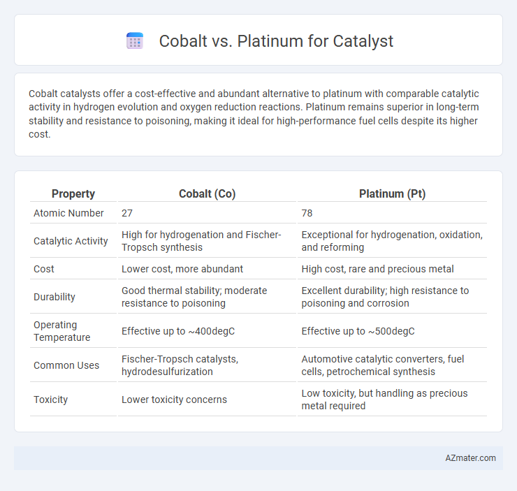 Cobalt vs. Platinum for Catalyst - What is The Difference?