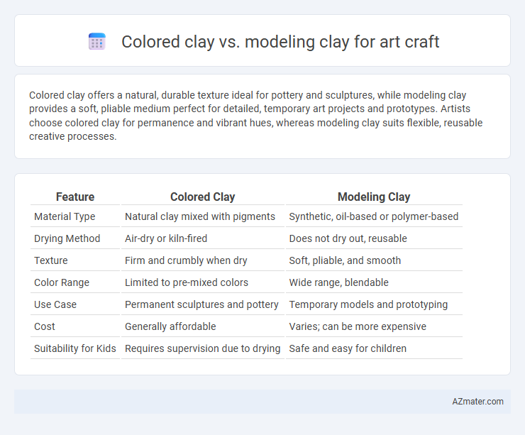 Colored clay vs. modeling clay for art craft - What is The Difference?