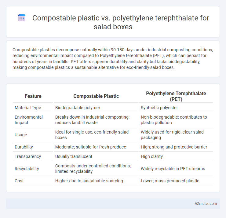 Compostable plastic vs. polyethylene terephthalate for salad boxes - What is The Difference?