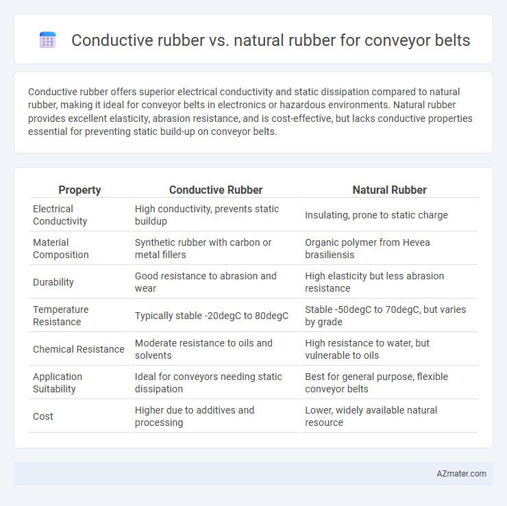 Conductive rubber vs. natural rubber for conveyor belts - What is The Difference?