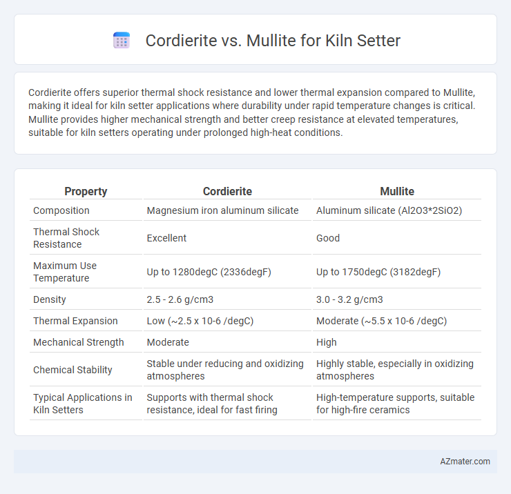 Cordierite vs. Mullite for Kiln Setter - What is The Difference?