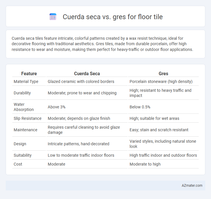 Cuerda seca vs. gres for floor tile - What is The Difference?