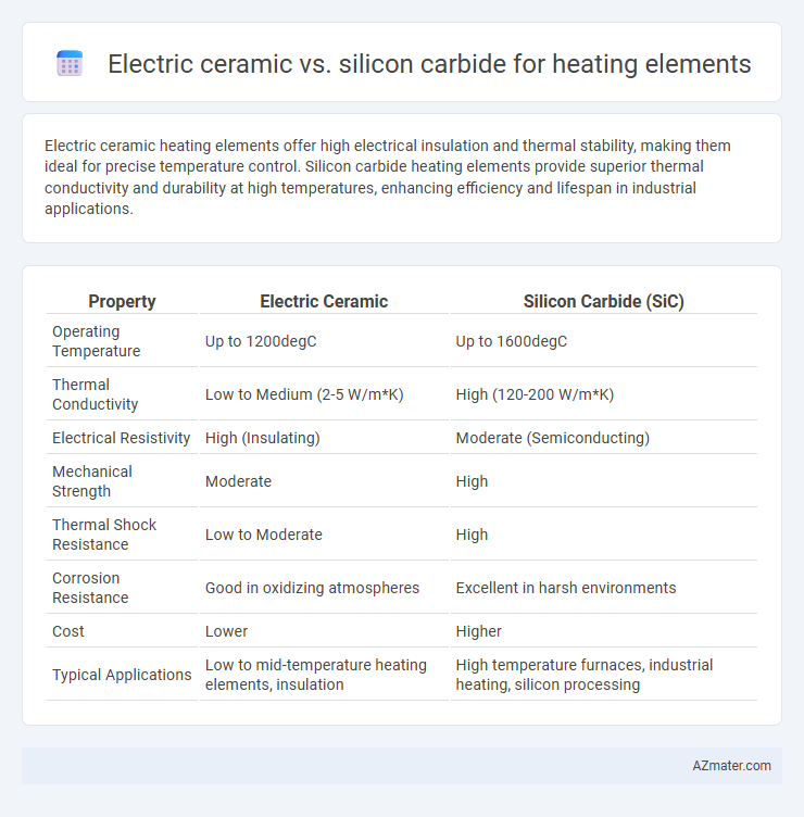 Electric ceramic vs. silicon carbide for heating elements - What is The Difference?