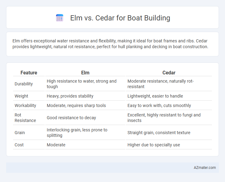 Elm vs. Cedar for Boat Building - What is The Difference?