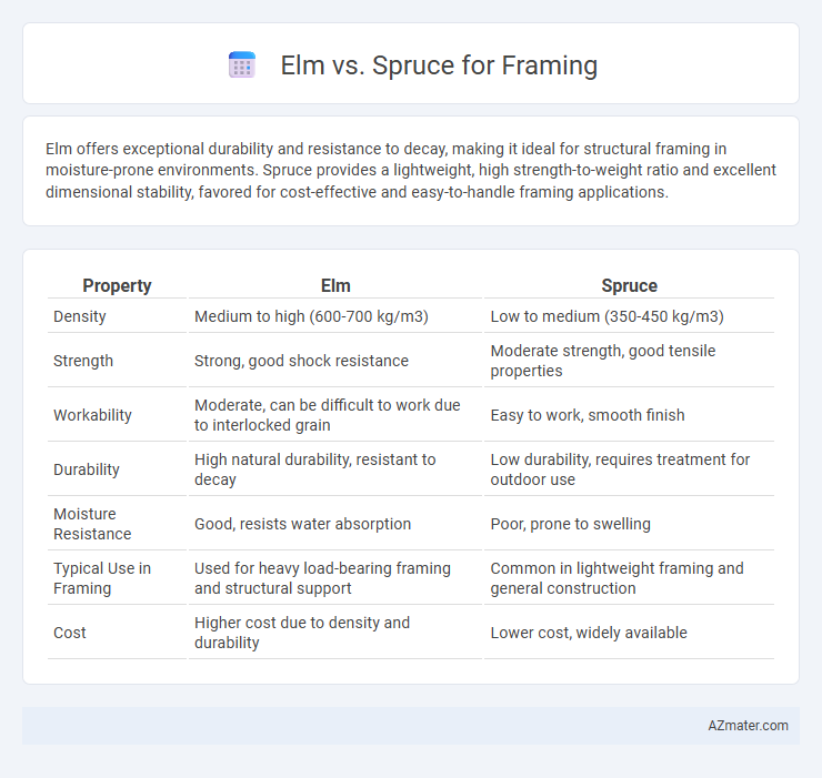 Elm vs. Spruce for Framing - What is The Difference?