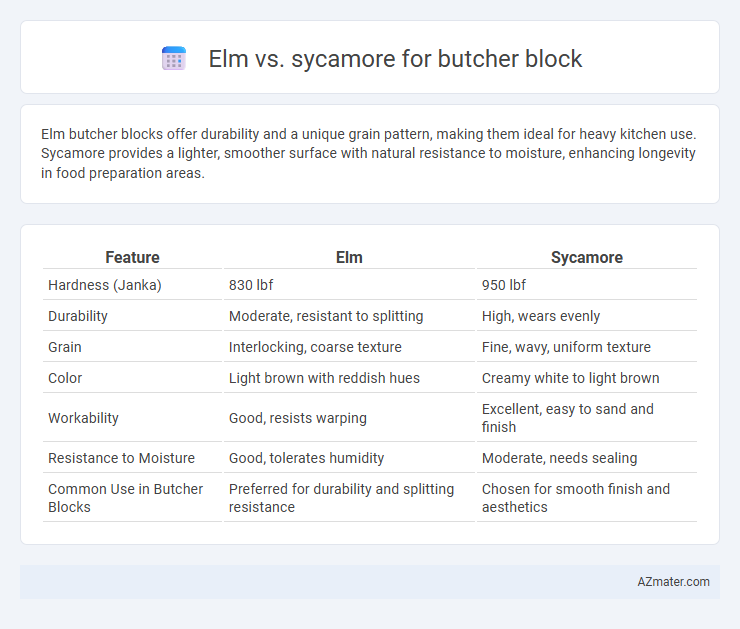 Elm vs. sycamore for butcher block - What is The Difference?