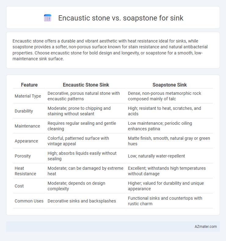 Encaustic stone vs. soapstone for sink - What is The Difference?