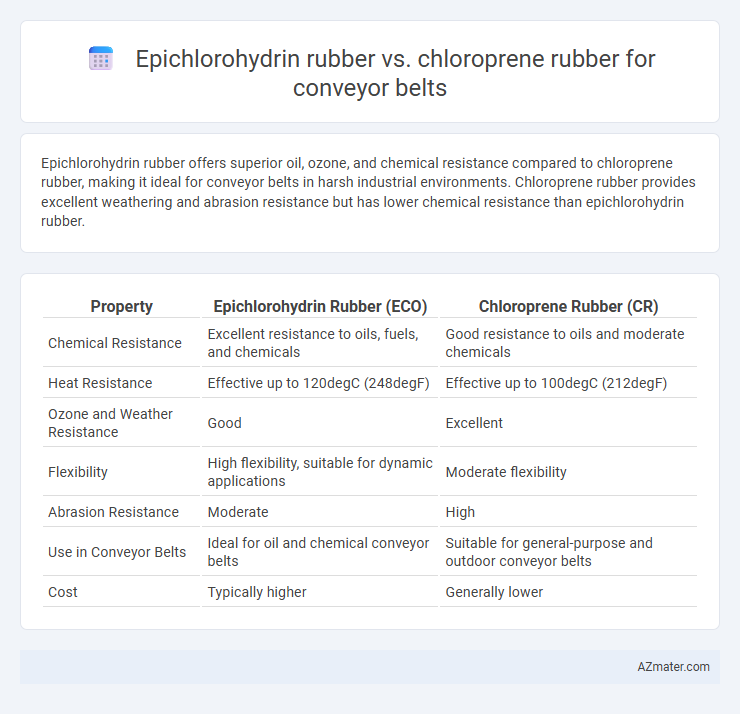 Epichlorohydrin rubber vs. chloroprene rubber for conveyor belts - What is The Difference?