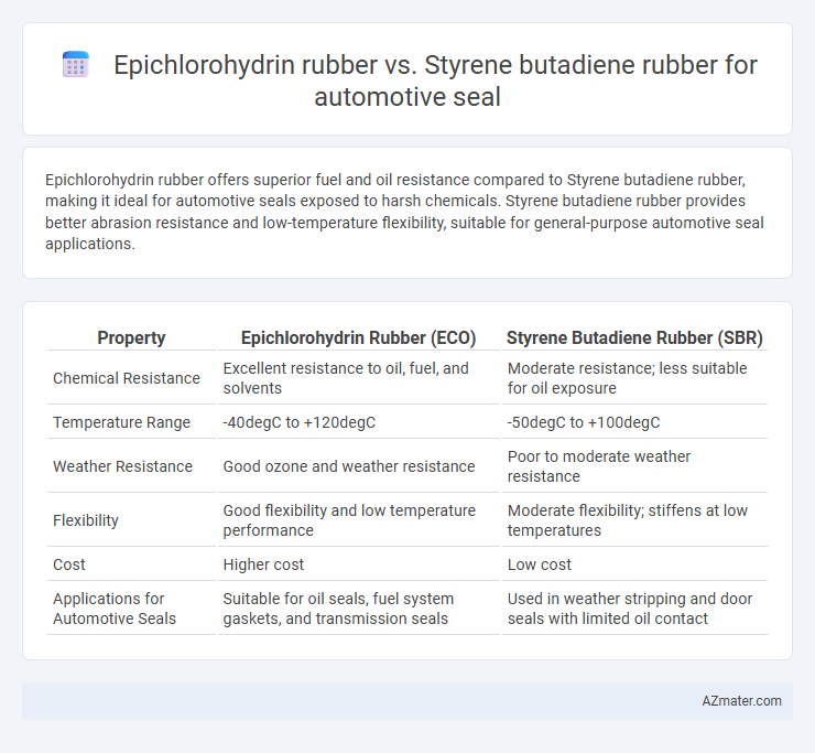 Epichlorohydrin rubber vs. Styrene butadiene rubber for automotive seal - What is The Difference?