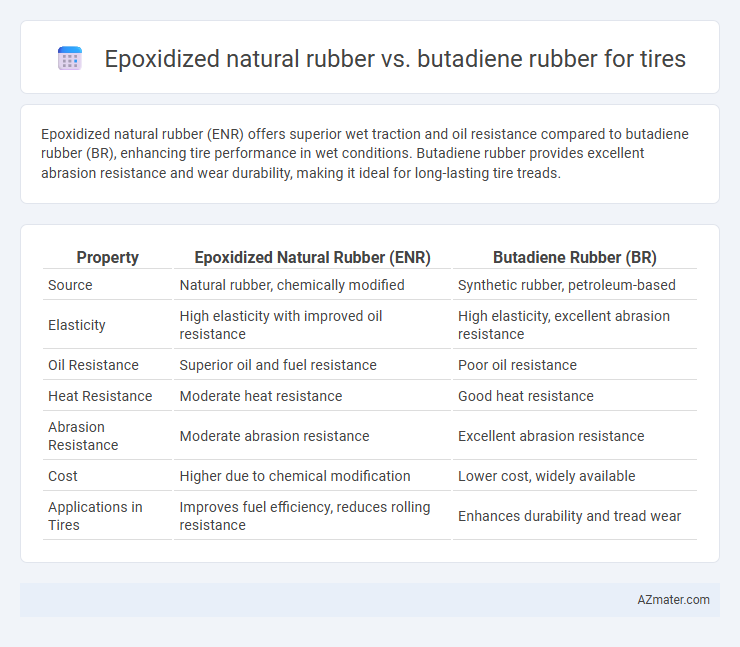 Epoxidized natural rubber vs. butadiene rubber for tires - What is The Difference?
