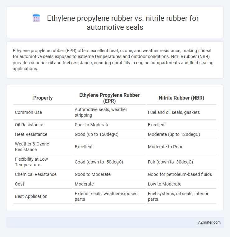 Ethylene propylene rubber vs. nitrile rubber for automotive seals - What is The Difference?