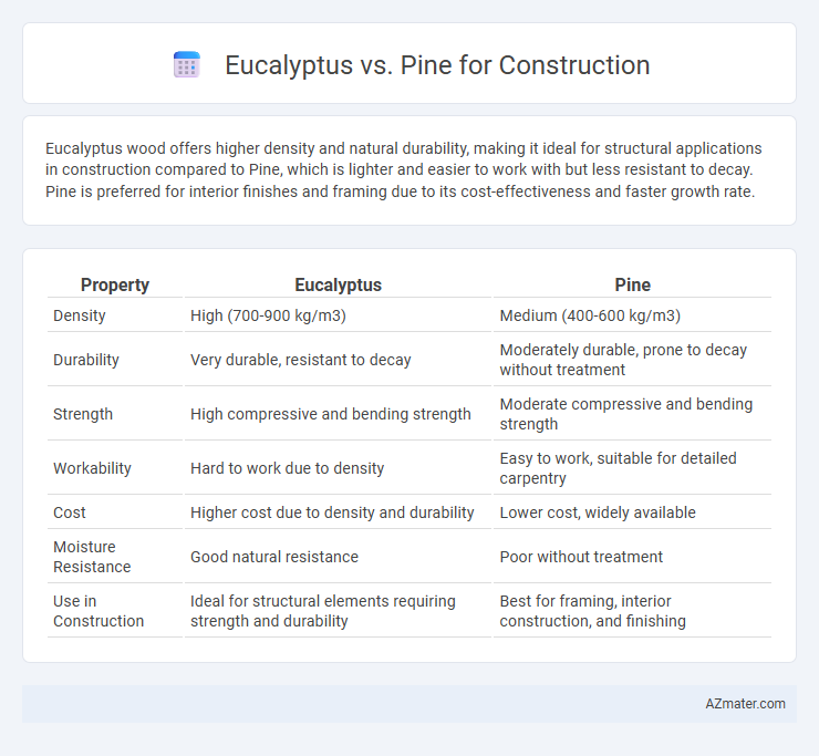 Eucalyptus vs. Pine for Construction - What is The Difference?