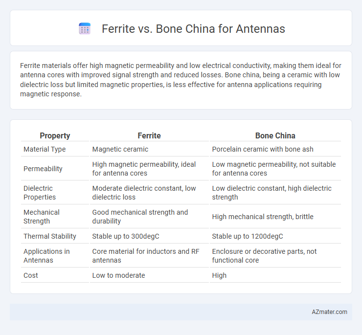 Ferrite vs. Bone China for Antennas - What is The Difference?