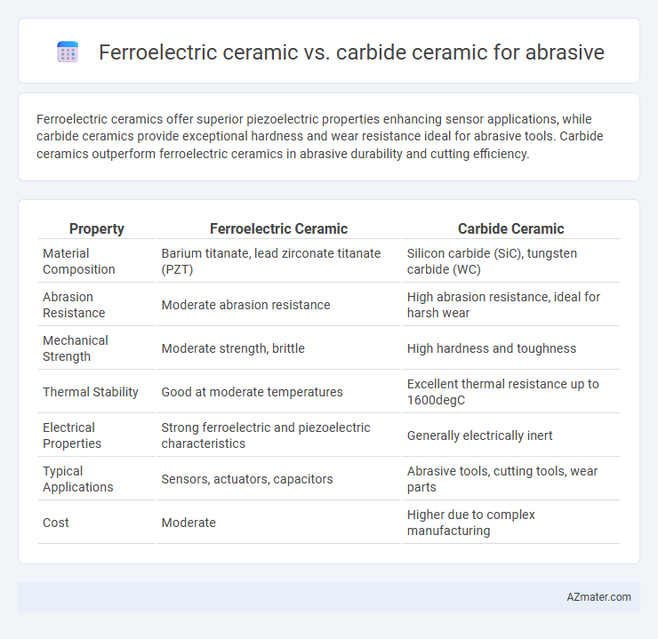 Ferroelectric ceramic vs. carbide ceramic for abrasive - What is The Difference?