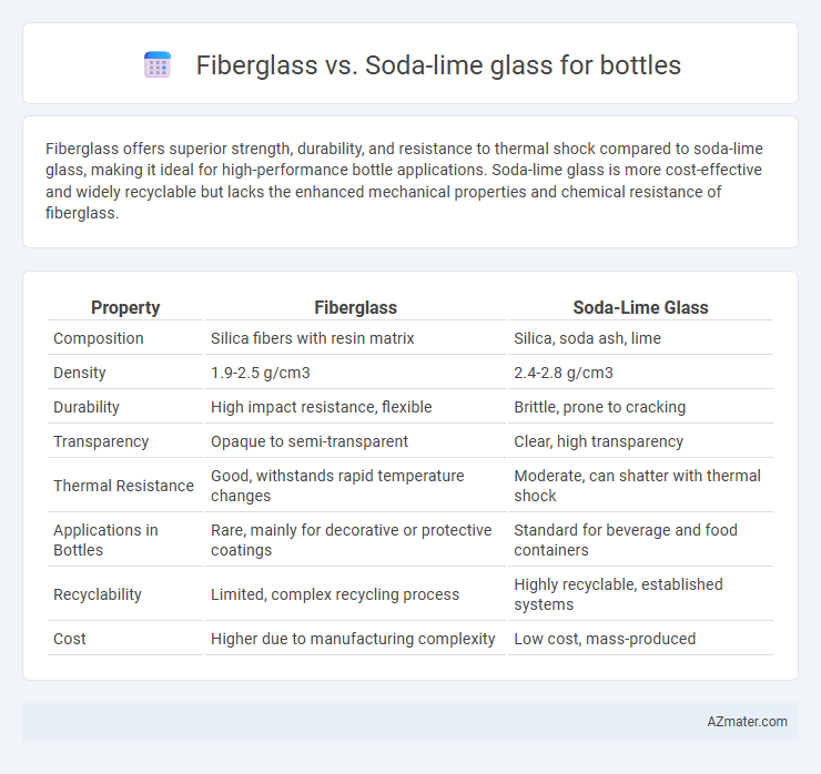 Fiberglass vs. Soda-lime glass for bottles - What is The Difference?