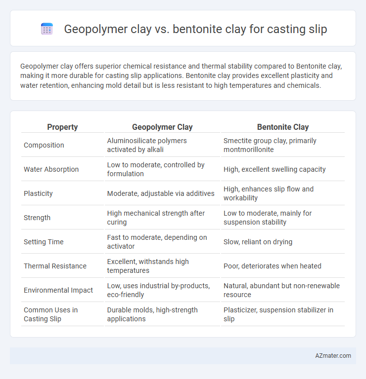 Geopolymer clay vs. bentonite clay for casting slip - What is The Difference?