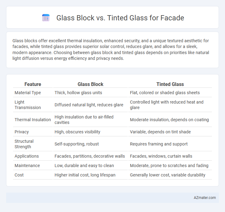 Glass Block vs. Tinted Glass for Facade - What is The Difference?