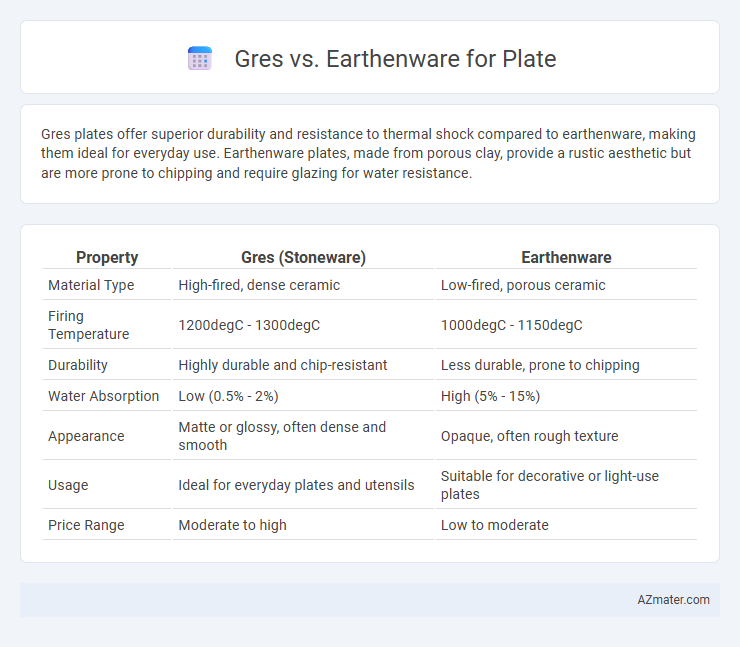 Gres vs. Earthenware for Plate - What is The Difference?