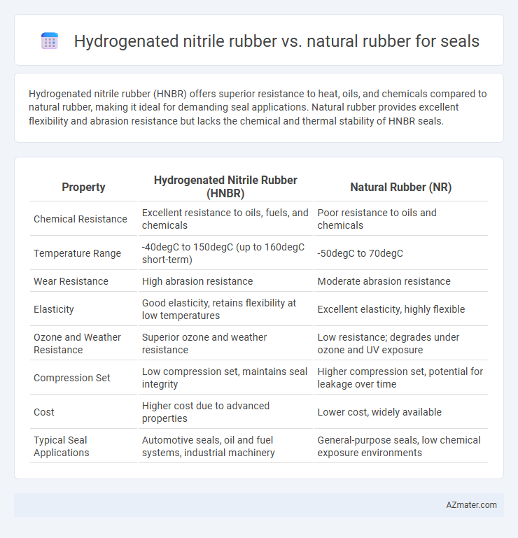 Hydrogenated nitrile rubber vs. natural rubber for seals - What is The Difference?