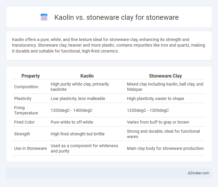 Kaolin vs. stoneware clay for stoneware - What is The Difference?