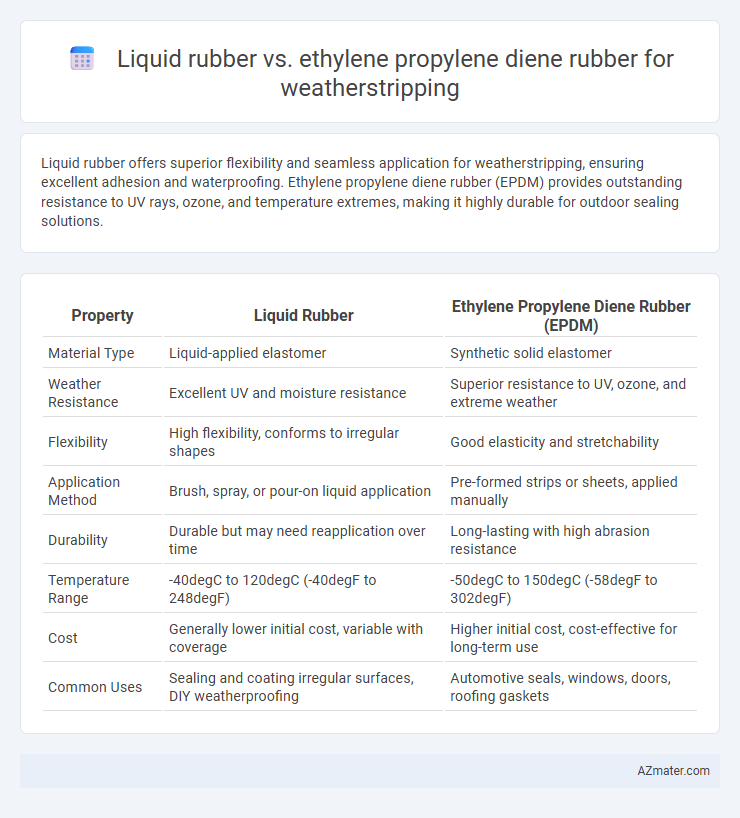 Liquid rubber vs. ethylene propylene diene rubber for weatherstripping - What is The Difference?