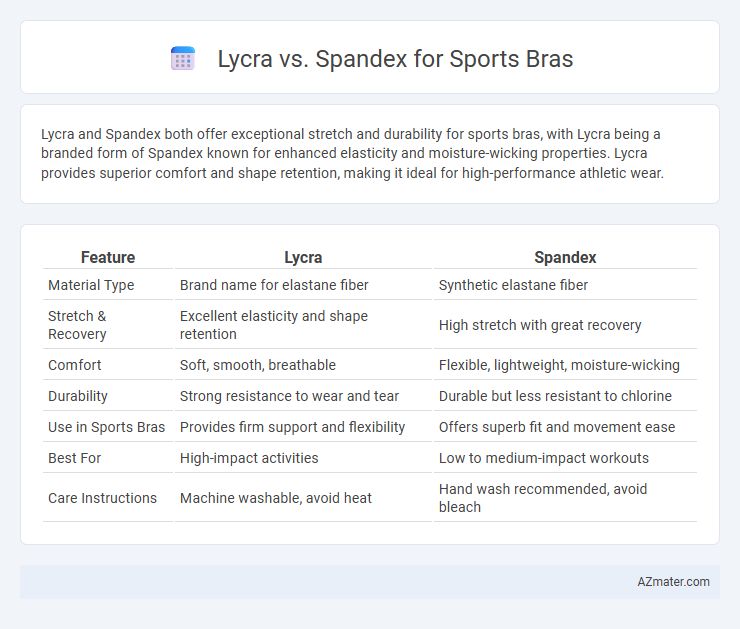 Lycra vs. Spandex for Sports Bras - What is The Difference?