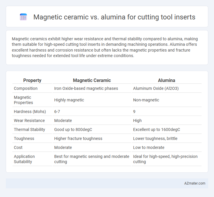 Magnetic ceramic vs. alumina for cutting tool inserts - What is The Difference?