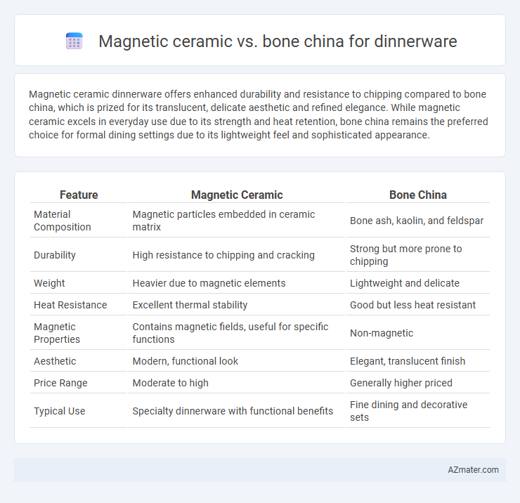 Magnetic ceramic vs. bone china for dinnerware - What is The Difference?